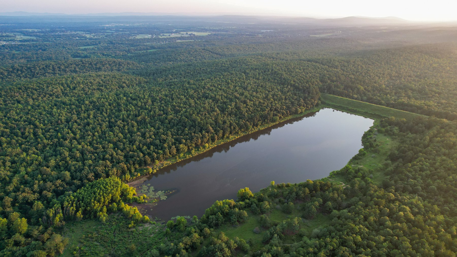 Image for Mena Timber Land | 4,636 Acres Auction