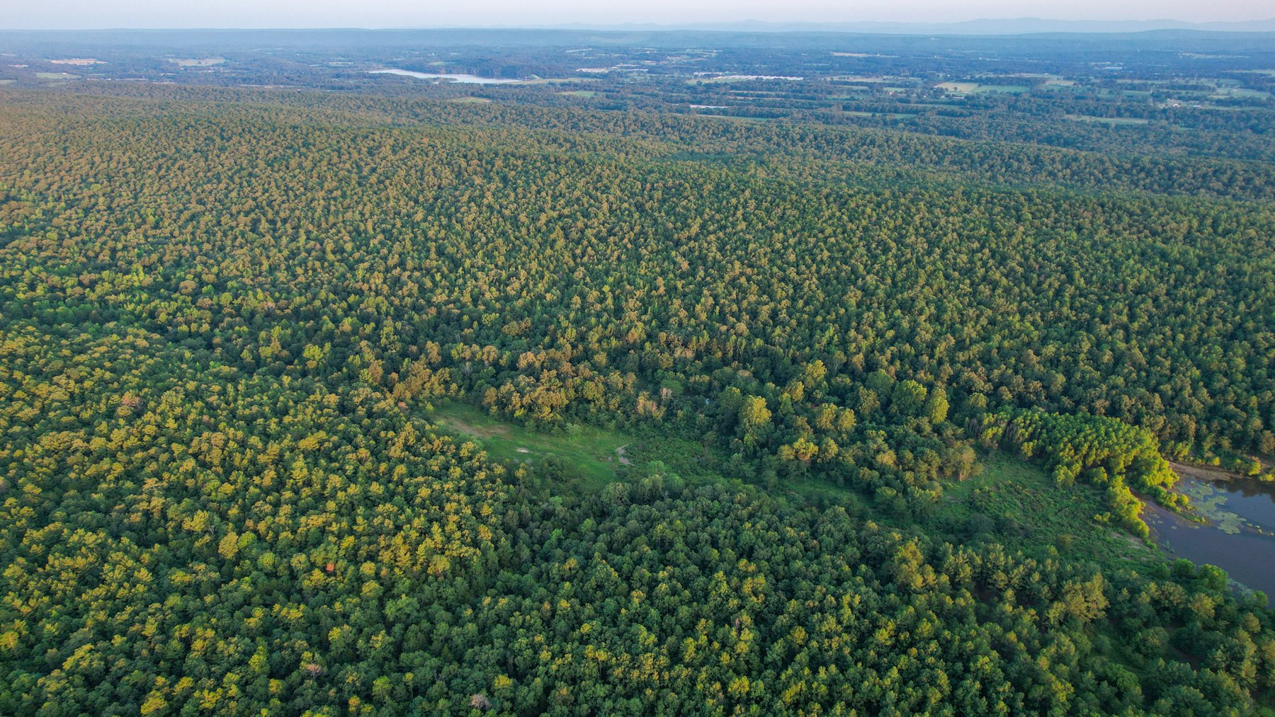 Image for Mena Timber Land | 4,636 Acres Auction