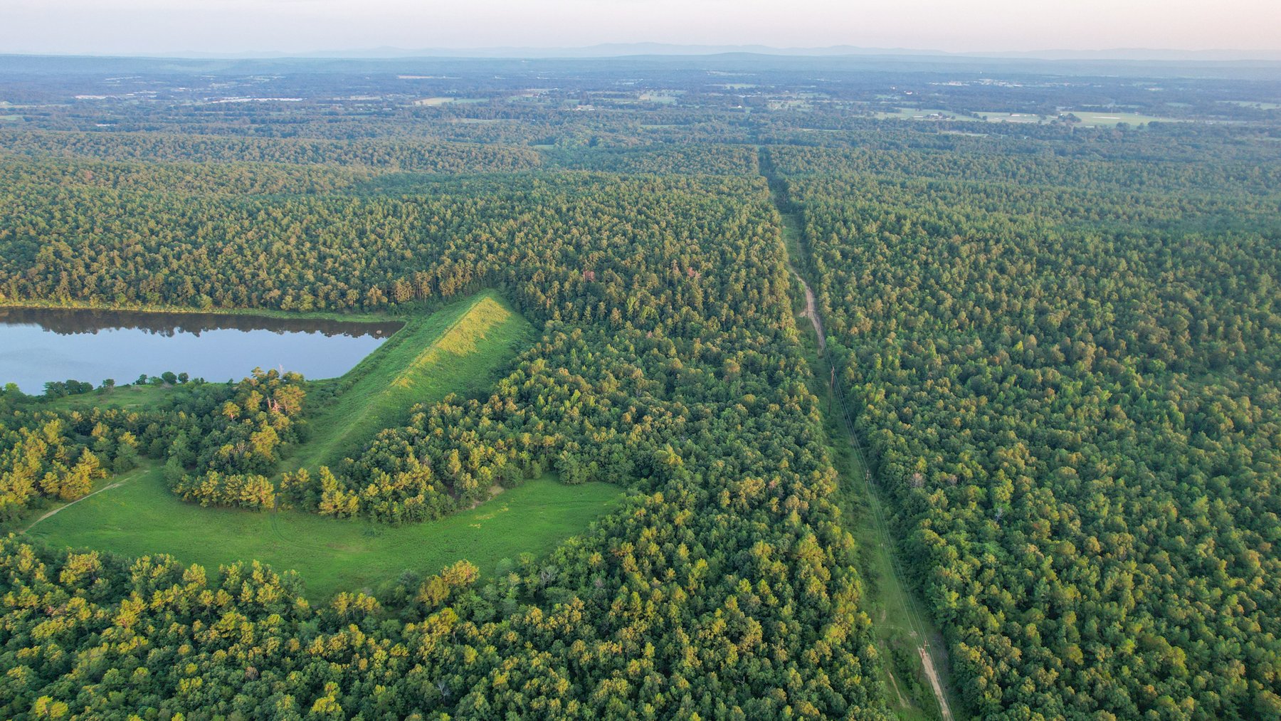 Image for Mena Timber Land | 4,636 Acres Auction