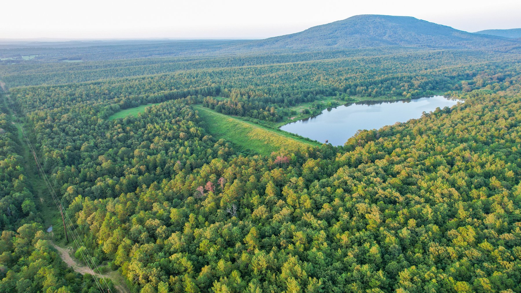 Image for Mena Timber Land | 4,636 Acres Auction