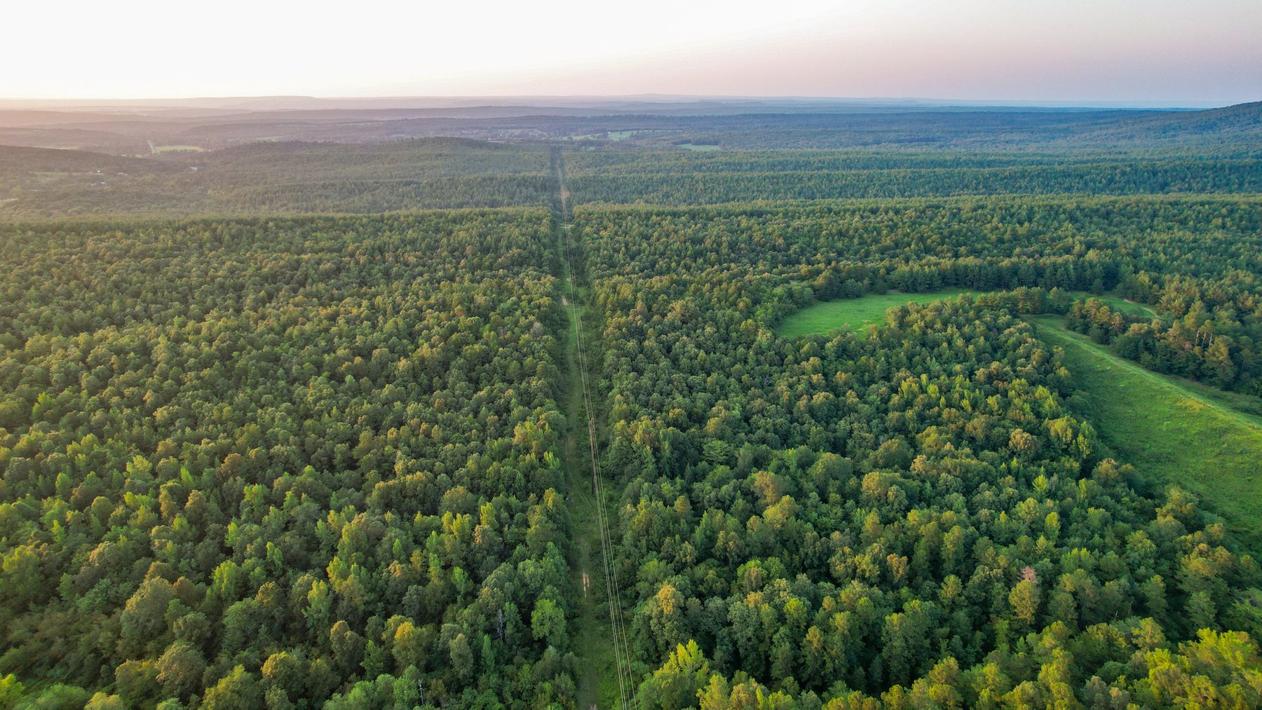 Image for Mena Timber Land | 4,636 Acres Auction