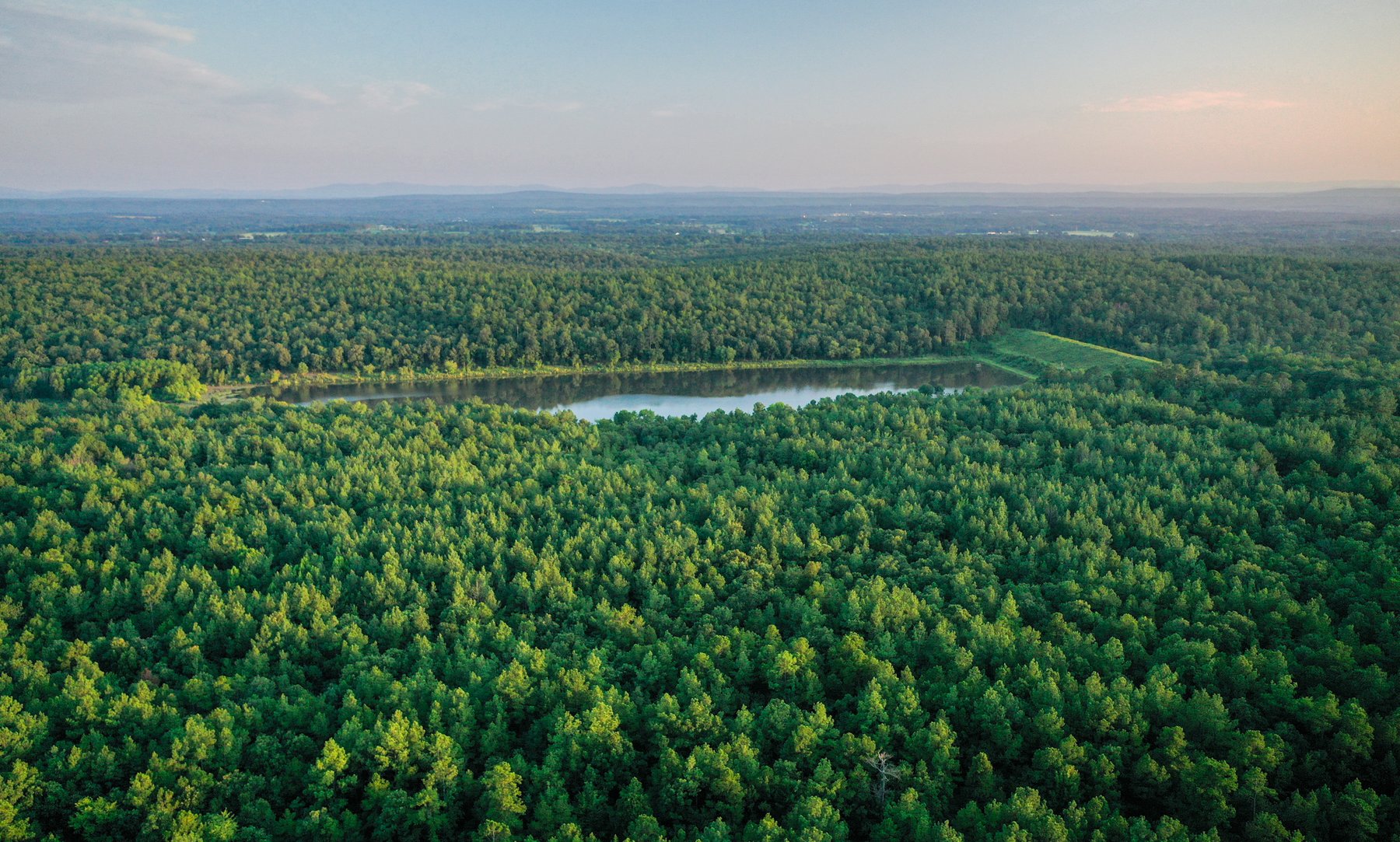 Image for Mena Timber Land | 4,636 Acres Auction