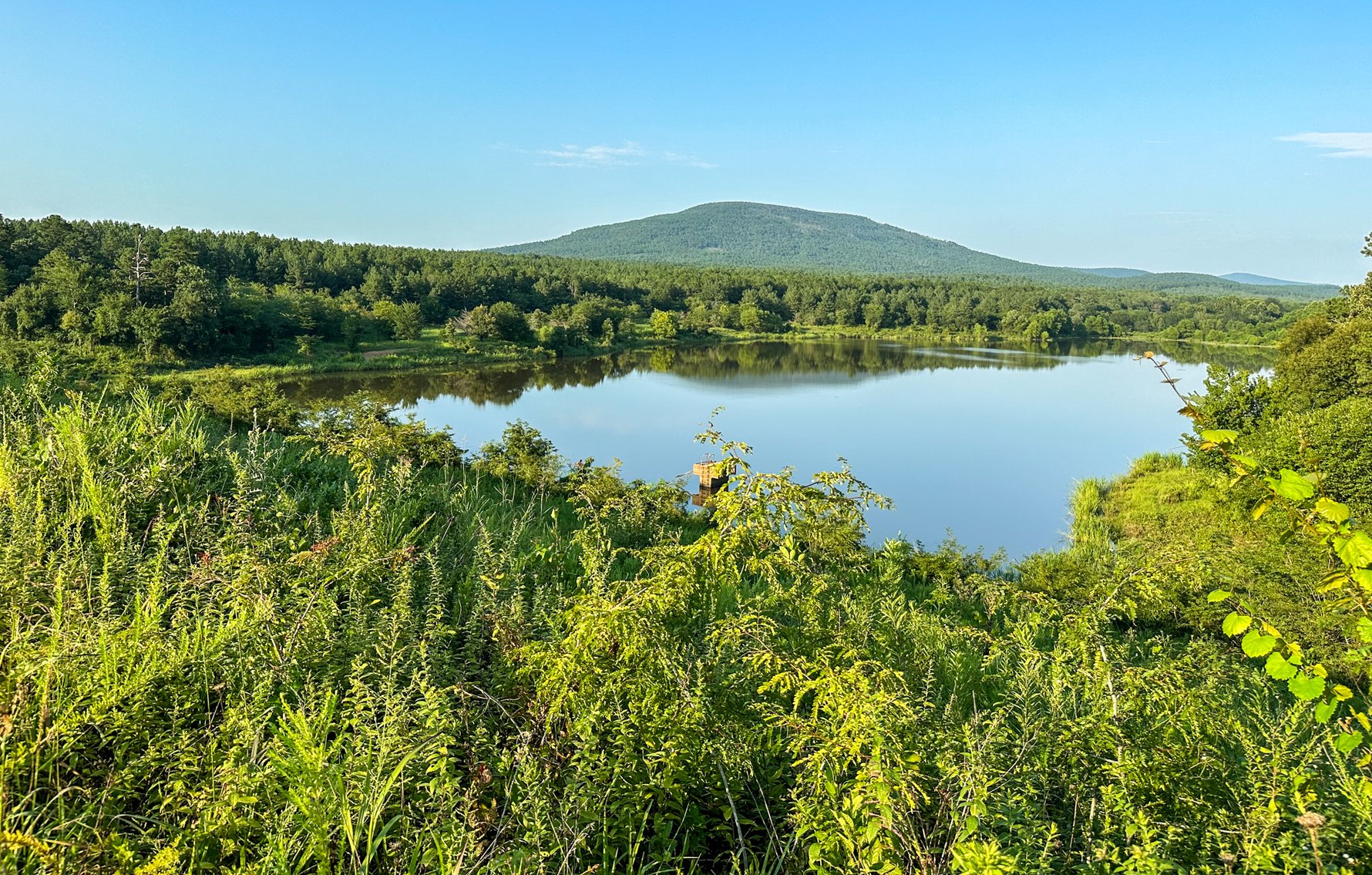 Image for Mena Timber Land | 4,636 Acres Auction