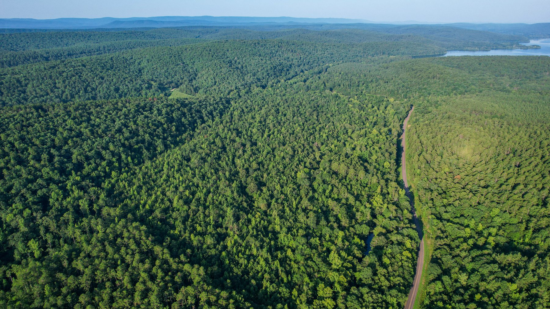 Image for Mena Timber Land | 4,636 Acres Auction