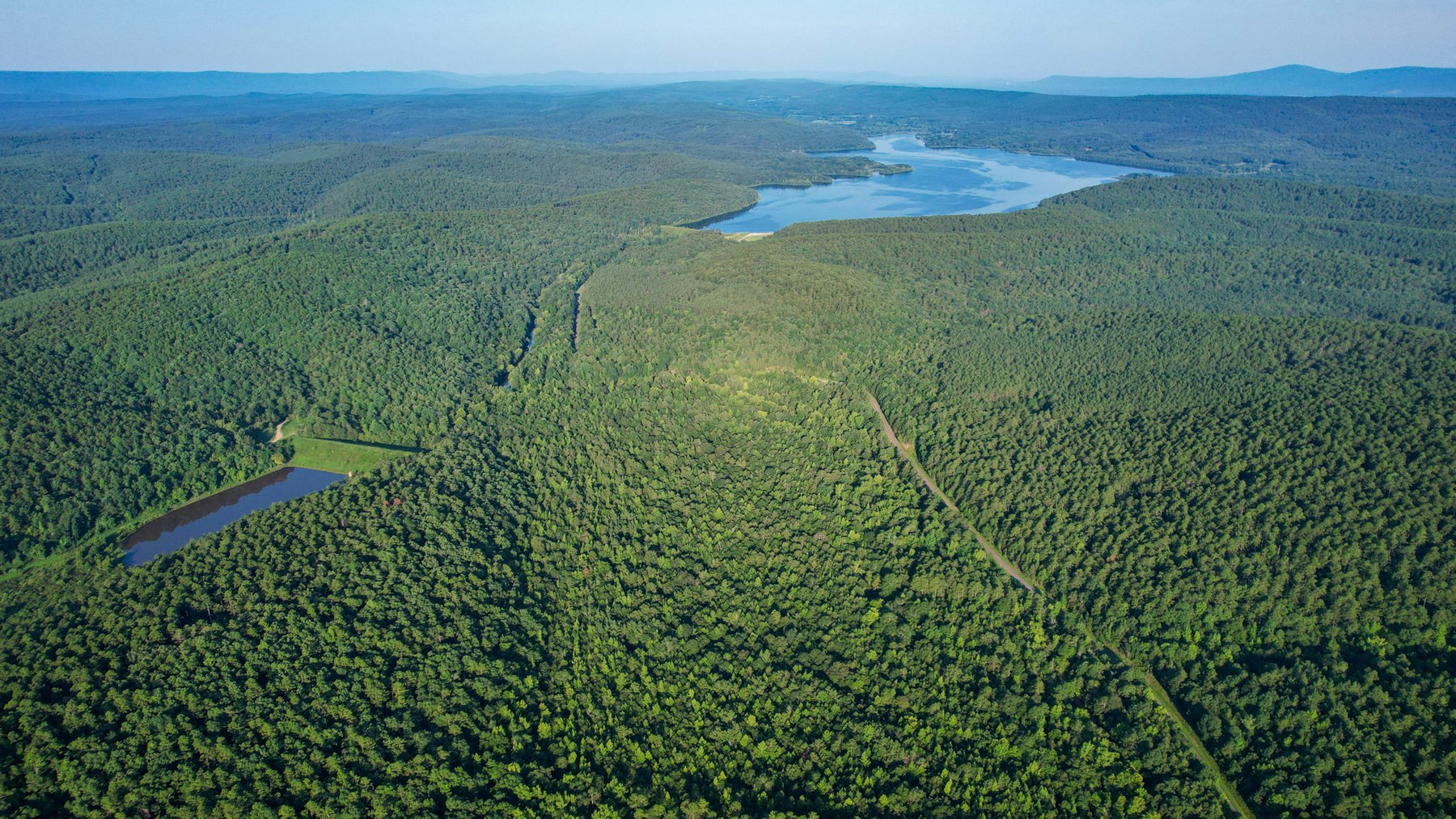 Image for Mena Timber Land | 4,636 Acres Auction
