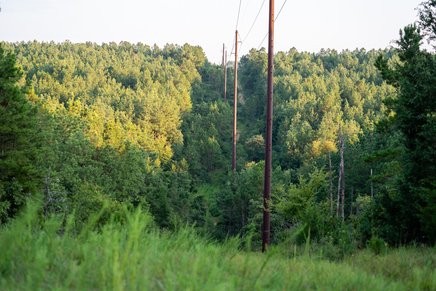 Image for Mena Timber Land | 4,636 Acres Auction