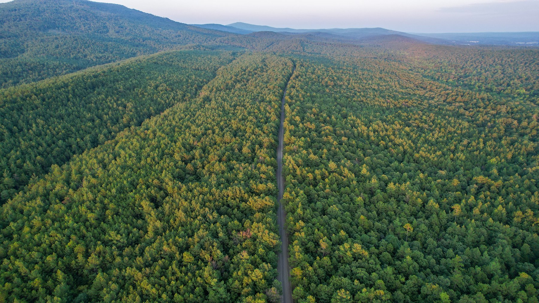 Image for Mena Timber Land | 4,636 Acres Auction