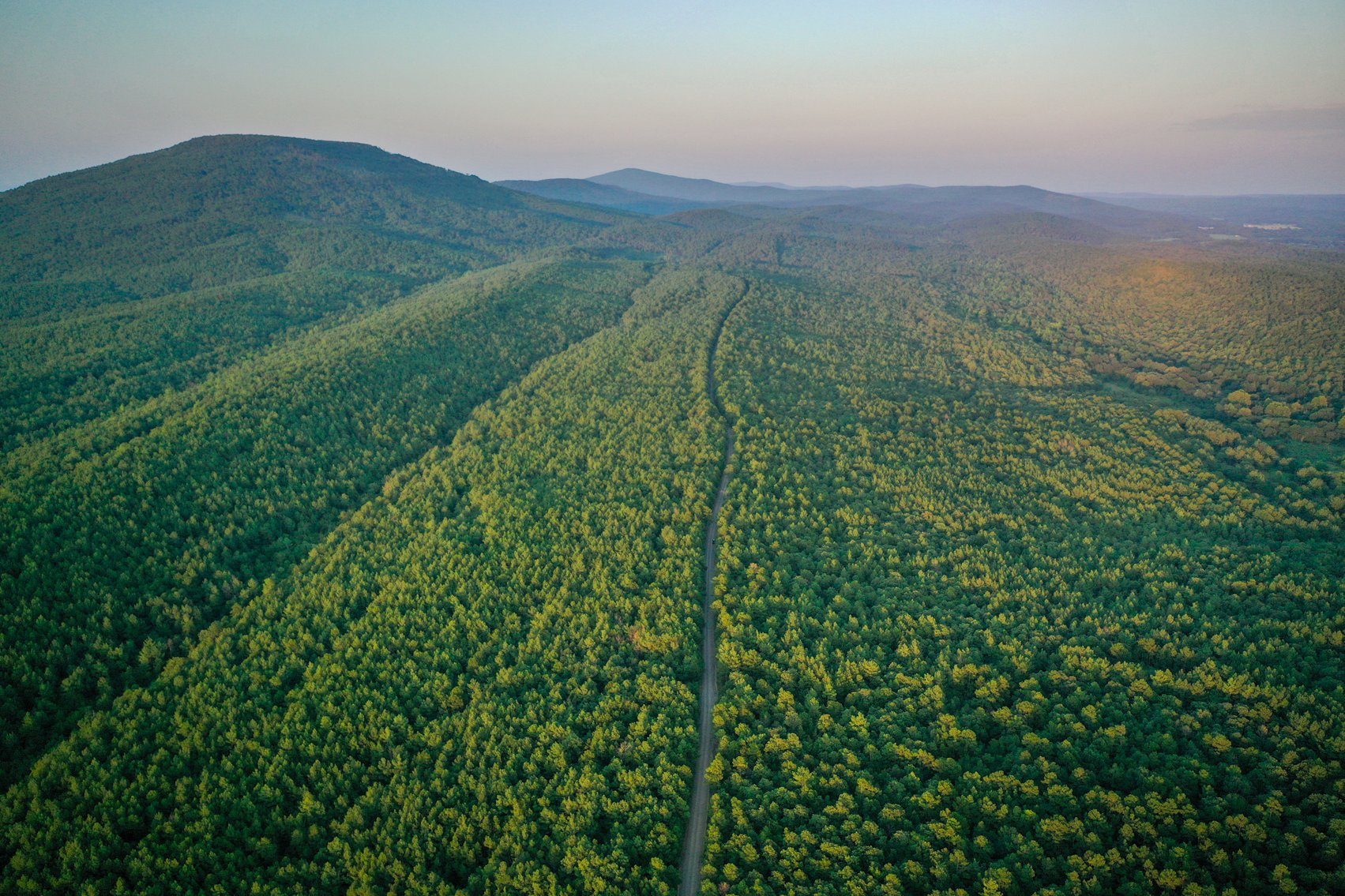 Image for Mena Timber Land | 4,636 Acres Auction