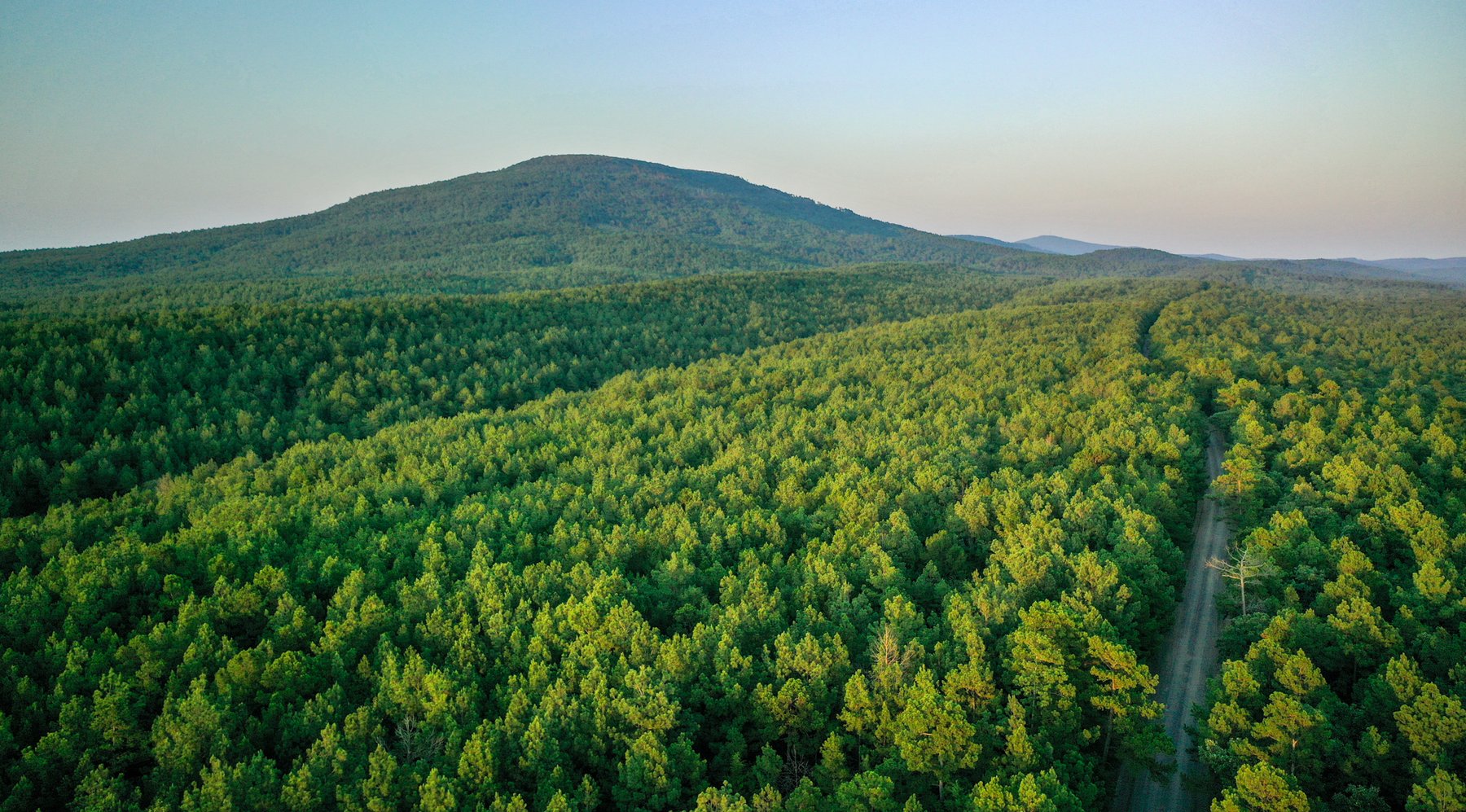 Image for Mena Timber Land | 4,636 Acres Auction