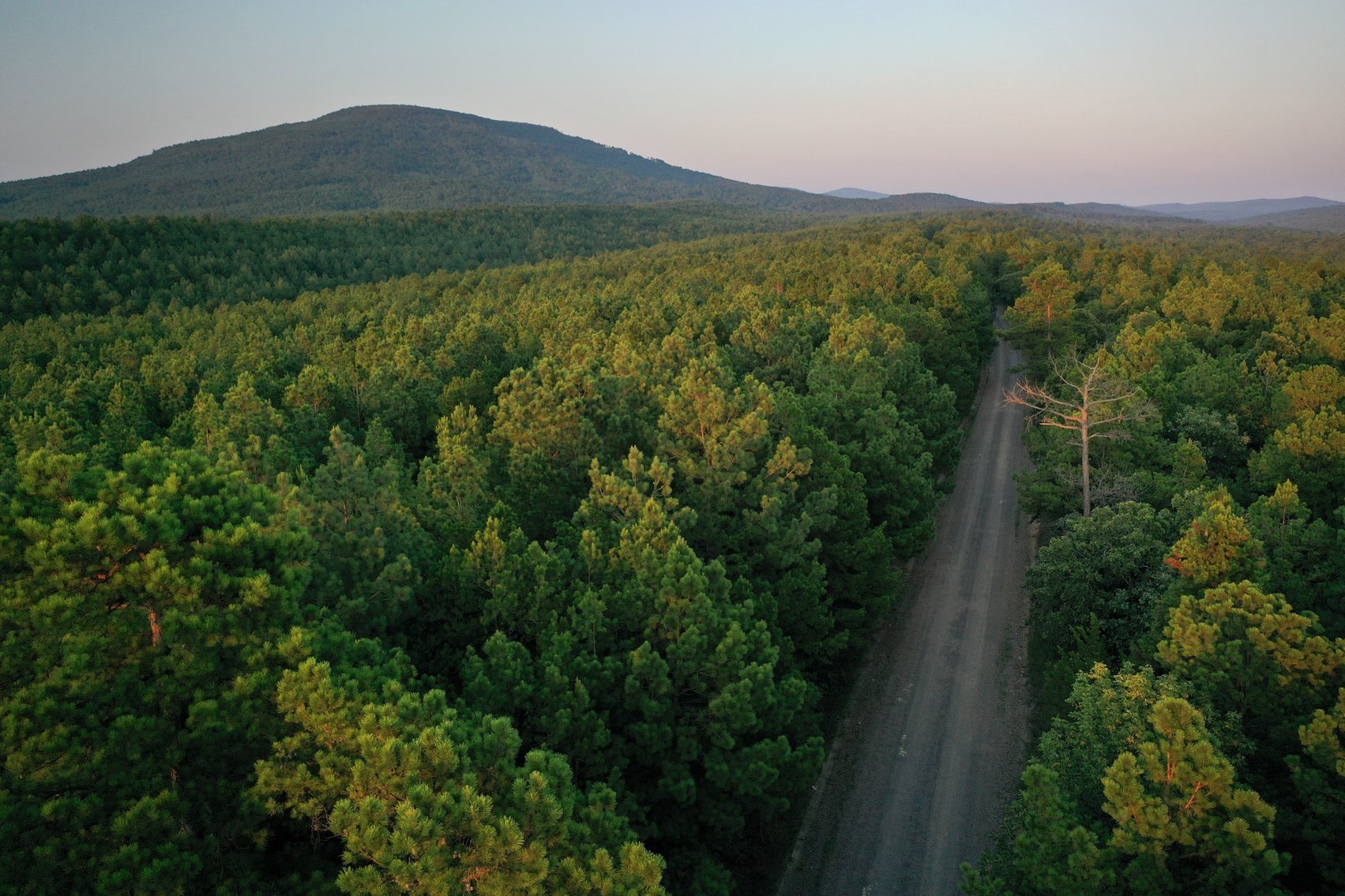 Image for Mena Timber Land | 4,636 Acres Auction