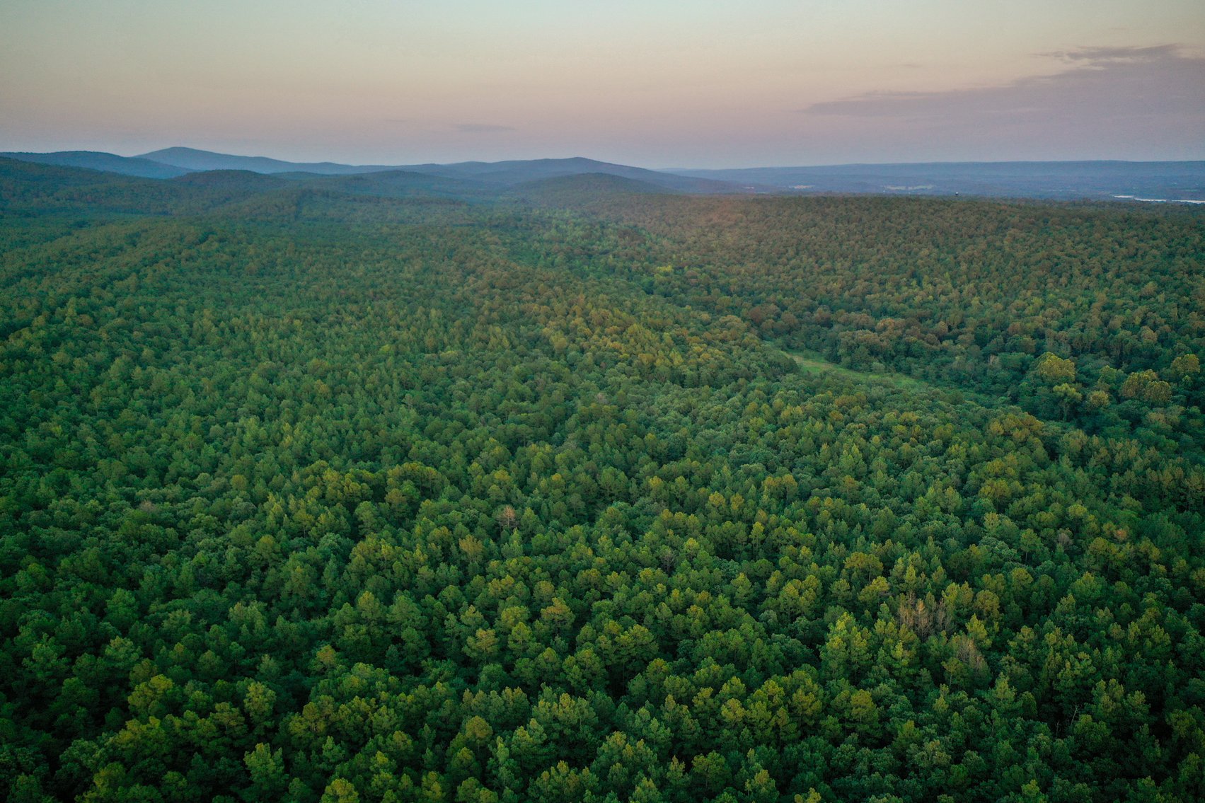 Image for Mena Timber Land | 4,636 Acres Auction