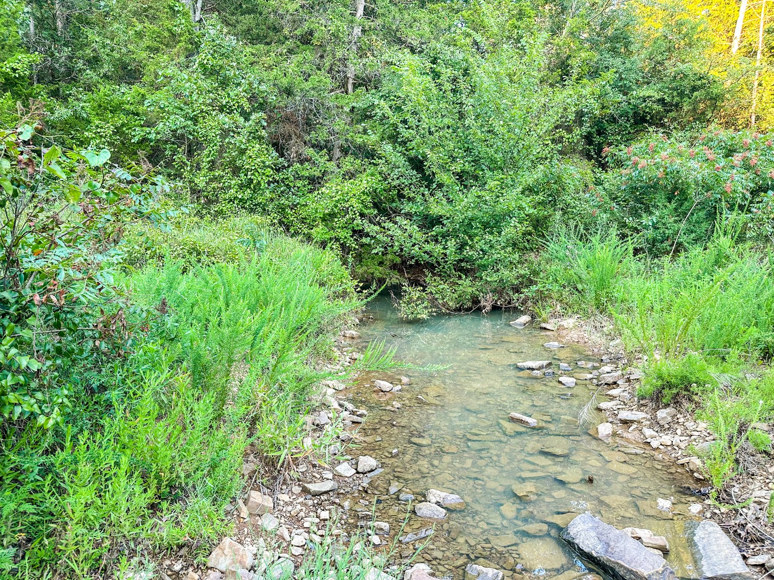 Image for Mena Timber Land | 4,636 Acres Auction