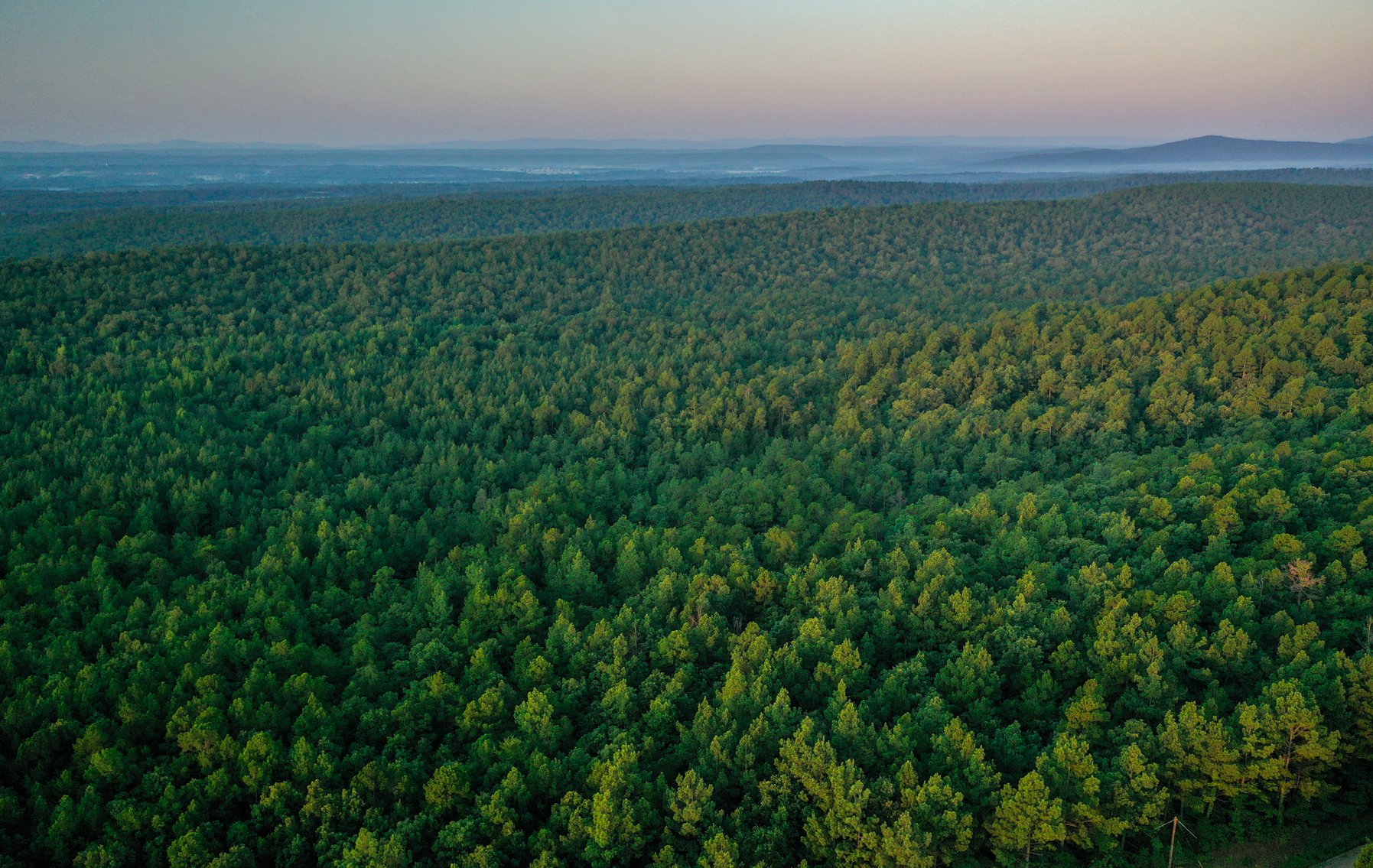 Image for Mena Timber Land | 4,636 Acres Auction