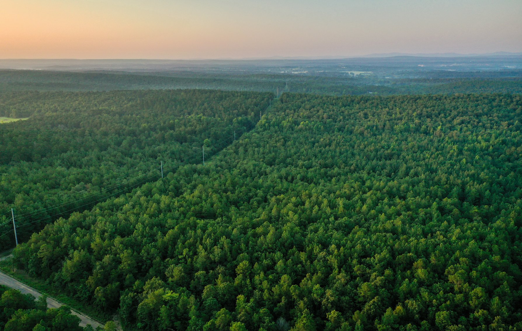 Image for Mena Timber Land | 4,636 Acres Auction