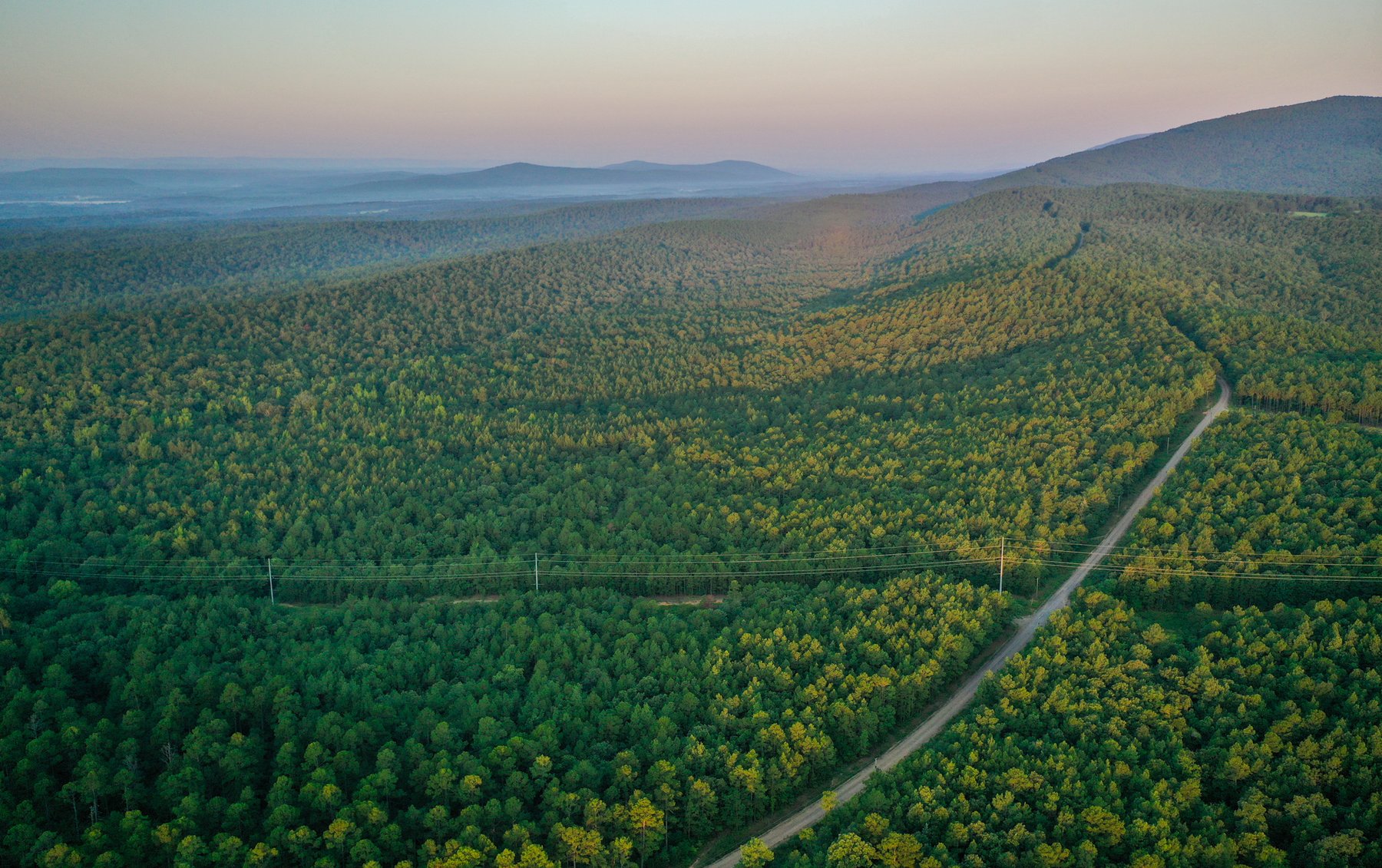 Image for Mena Timber Land | 4,636 Acres Auction