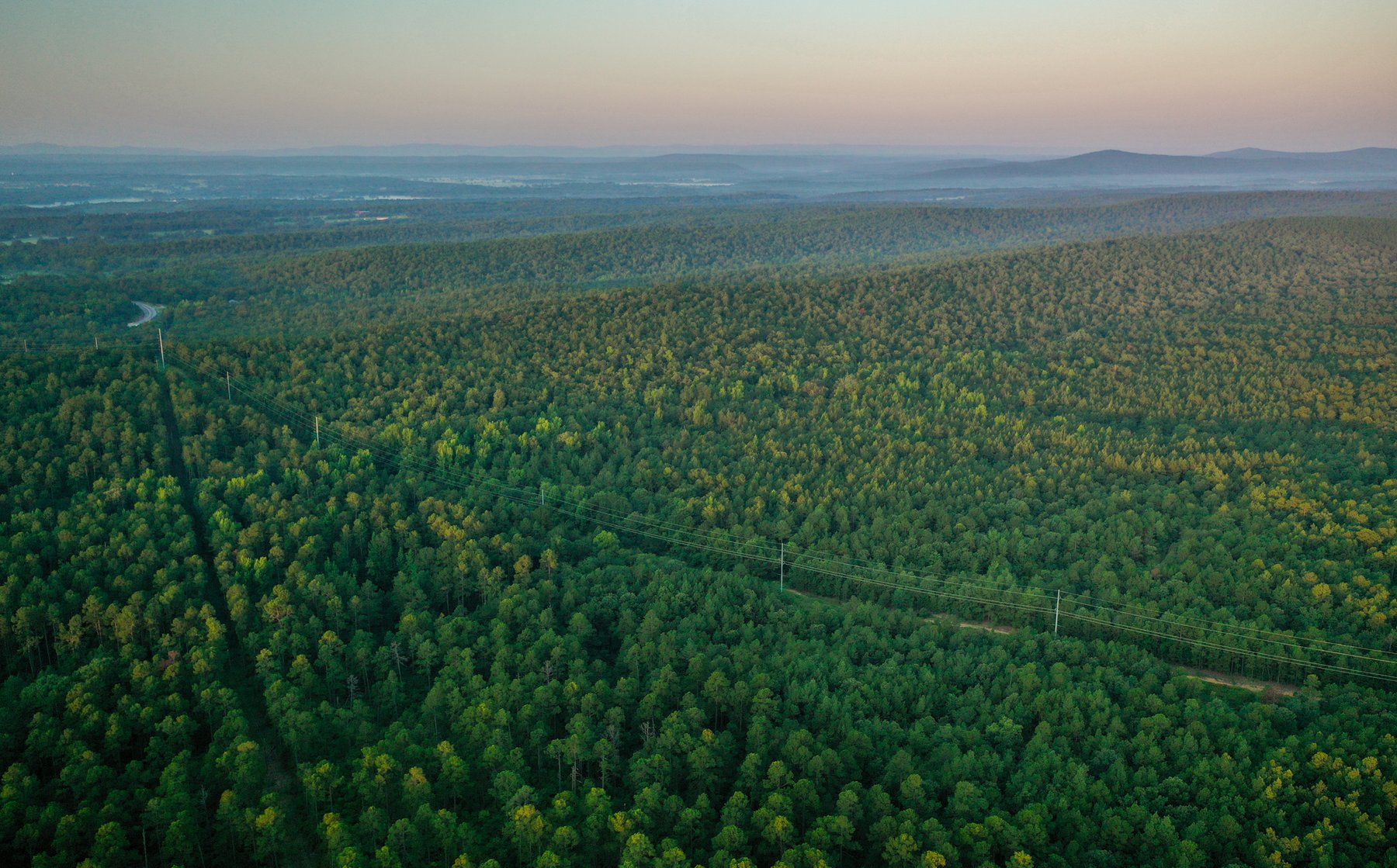 Image for Mena Timber Land | 4,636 Acres Auction