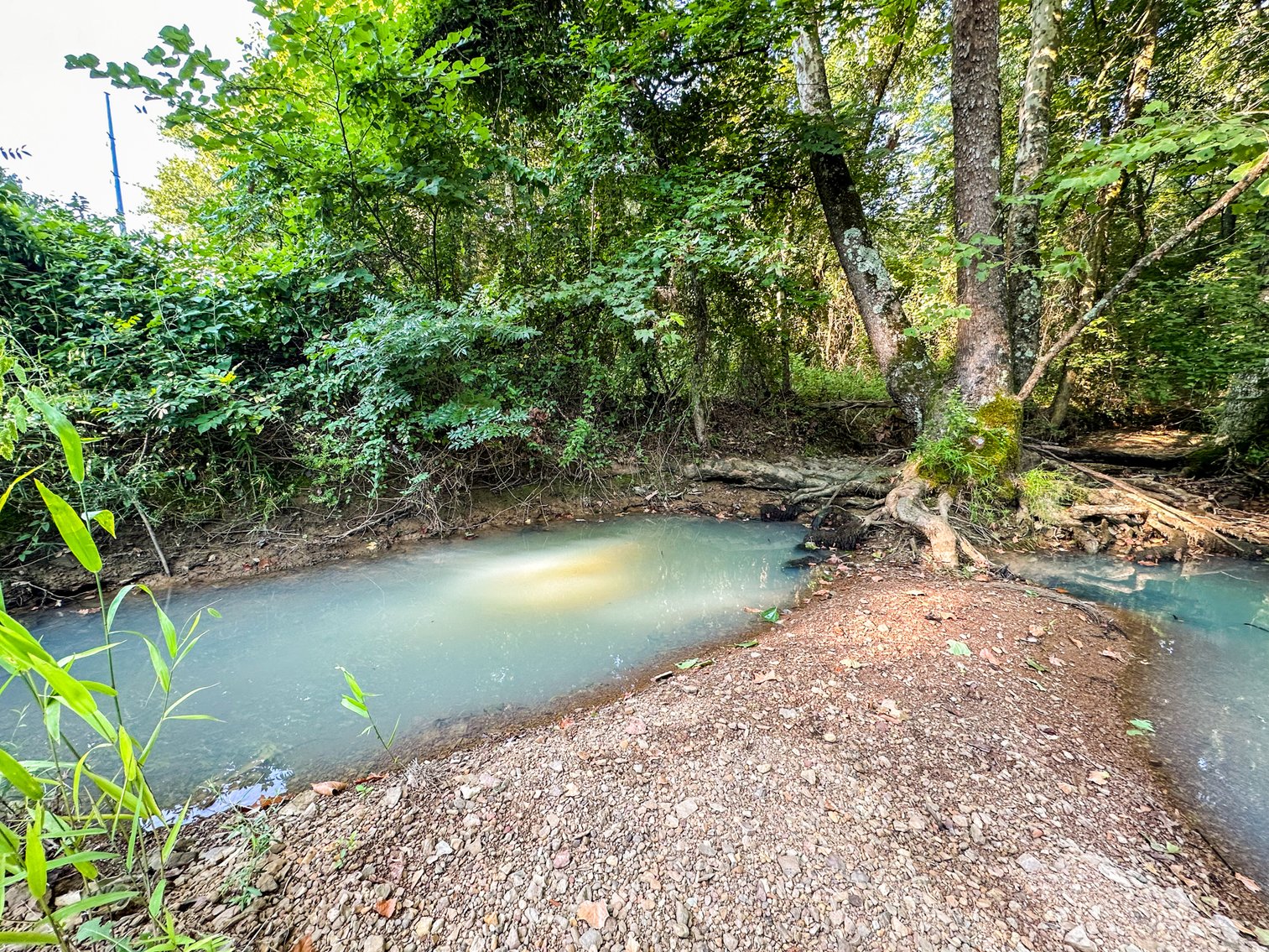 Image for Mena Timber Land | 4,636 Acres Auction