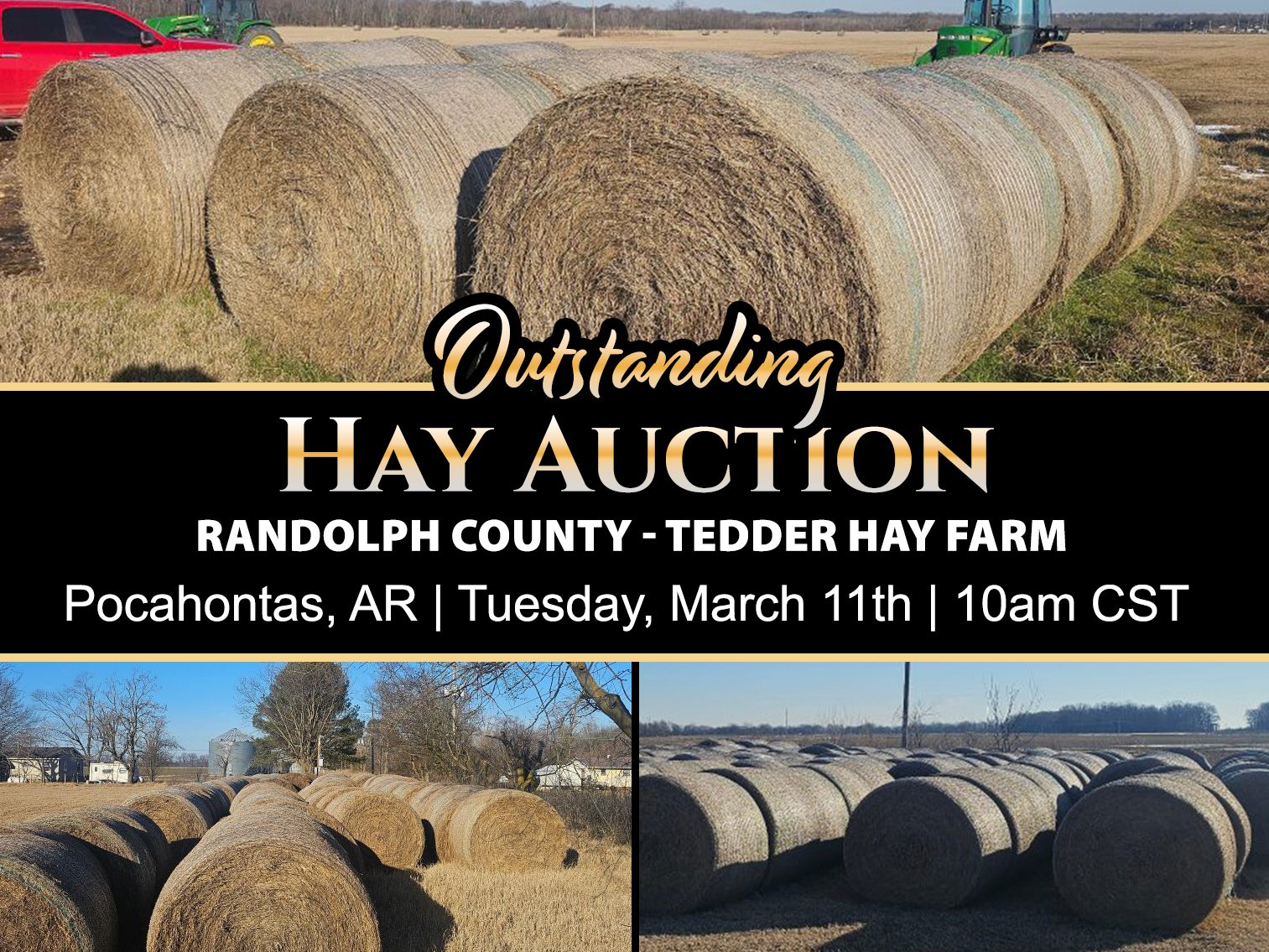 Image for Tedder Outstanding Hay Auction
