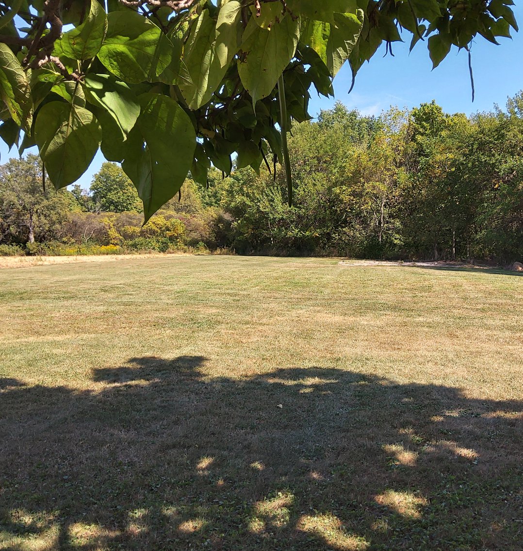 Image for 74.4600 Acres +/- At Public Auction October 24@ 7 PM