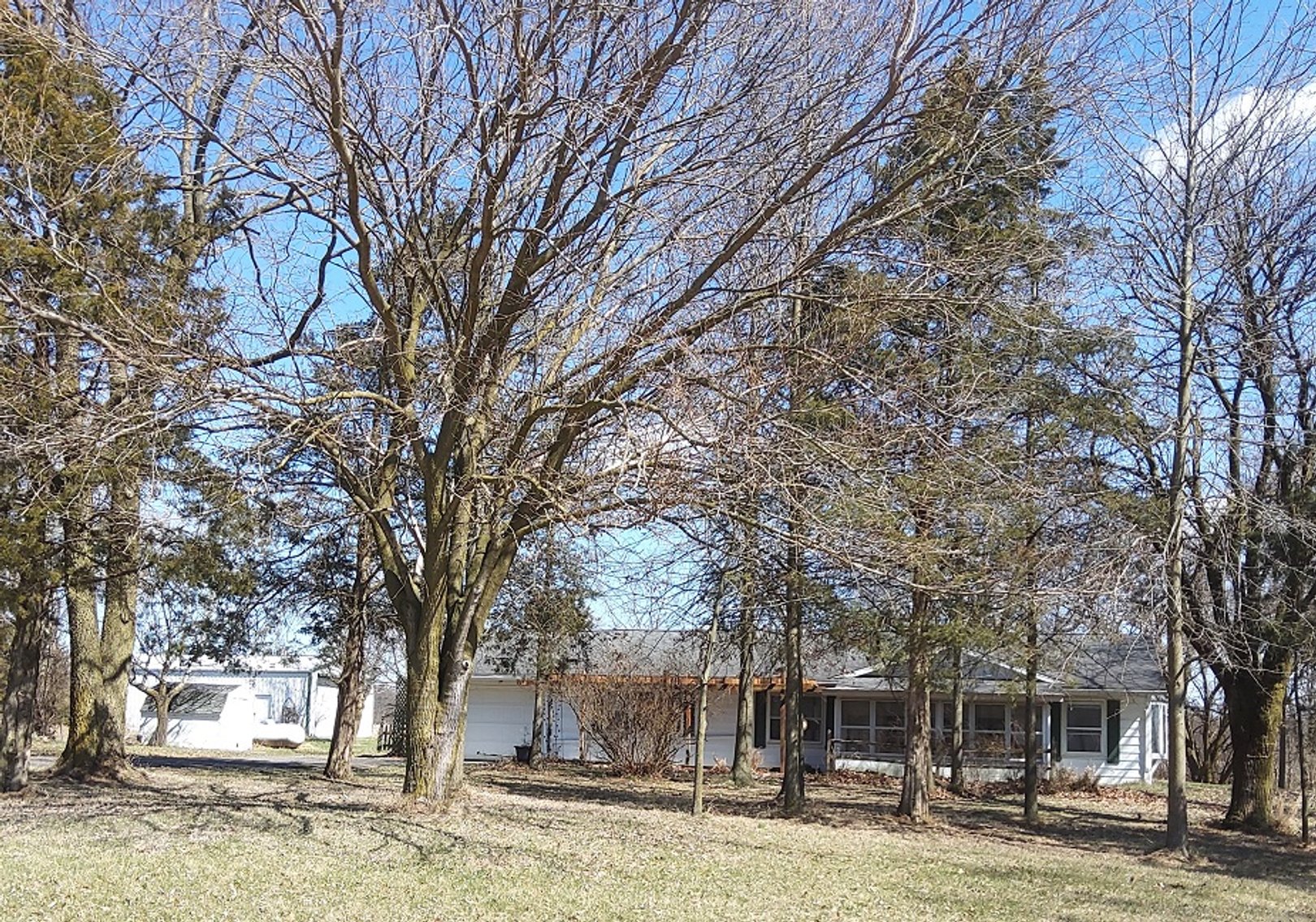 Image for George Newton Estate Auction