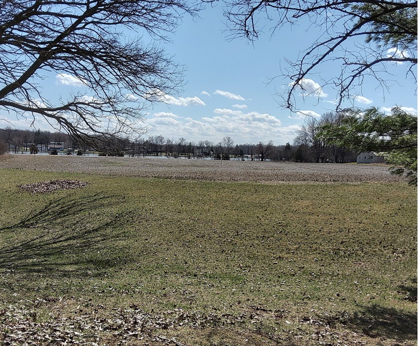 Image for George Newton Estate Auction