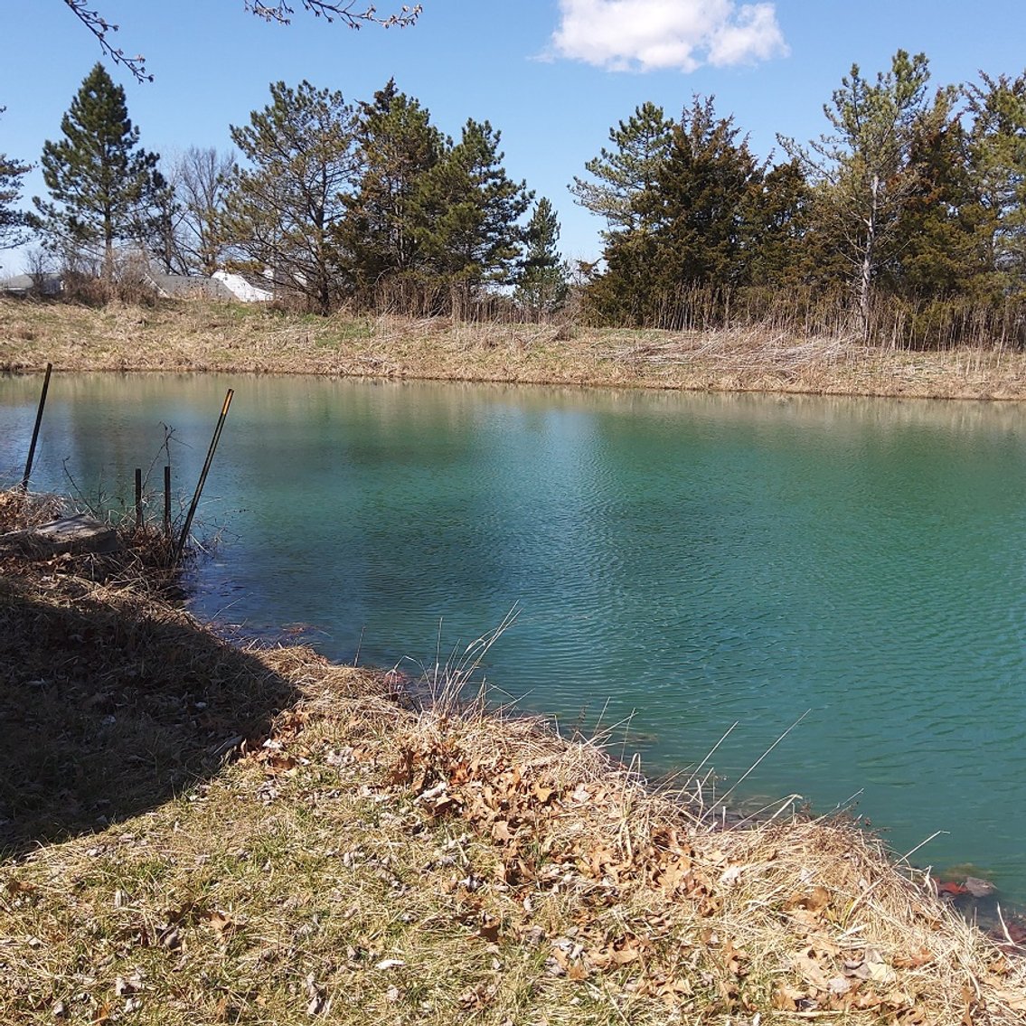 Image for George Newton Estate Auction