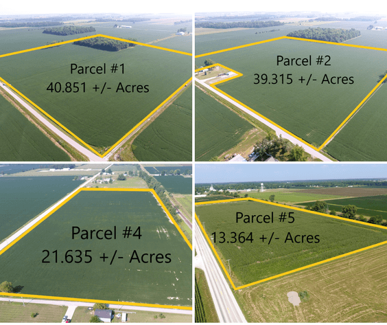 Matson Land Auction - Paulding County