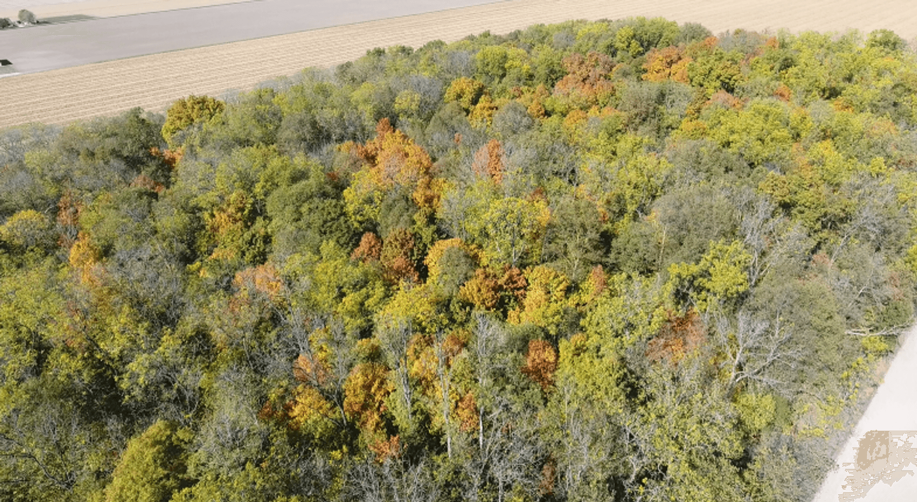 Image for 15 Acres +/- Woods Rd X Leipsic, Ohio 45864