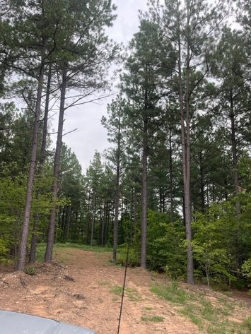 Image for Pittsylvania VA - 9.32 AC - 3 Buildable Lots - 00 Harbor Dr. Hurt VA 24563