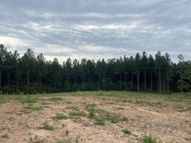 Image for Pittsylvania VA - 9.32 AC - 3 Buildable Lots - 00 Harbor Dr. Hurt VA 24563