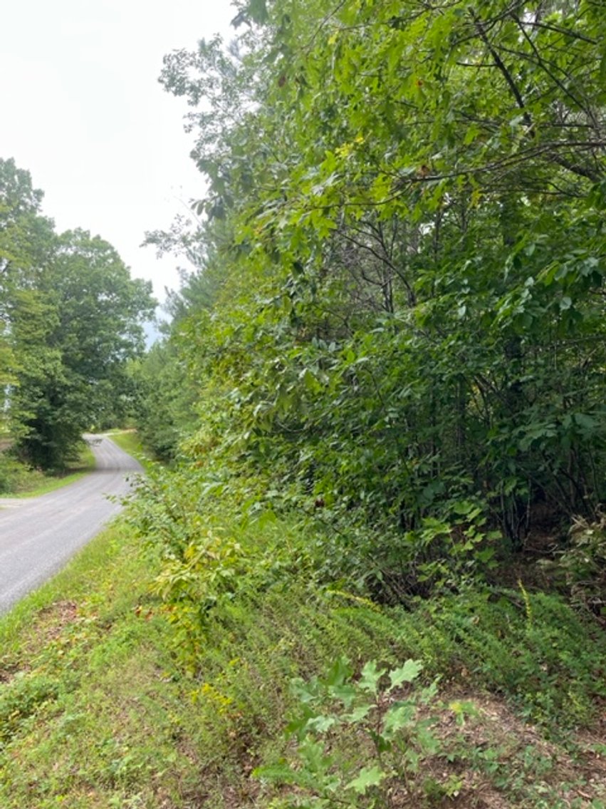 Image for Pittsylvania VA - 9.32 AC - 3 Buildable Lots - 00 Harbor Dr. Hurt VA 24563