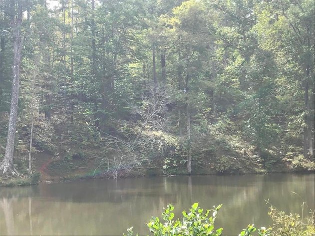 Image for Leesville Lakefront Community - 1.69 AC Prime Interior Lot with Pond Frontage - Runaway Bay, Altavista VA