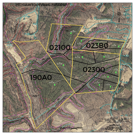 Image for 187+/- Acre Timber Investment Property in Albemarle County offered in 4 Parcels with 20 Division Rights