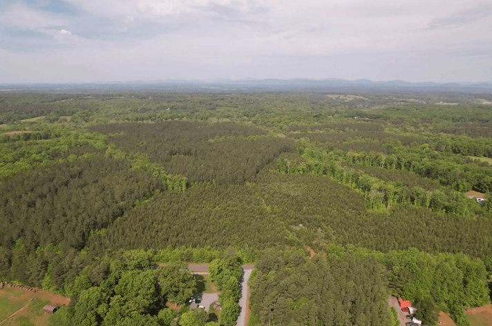 Image for 187+/- Acre Timber Investment Property in Albemarle County offered in 4 Parcels with 20 Division Rights