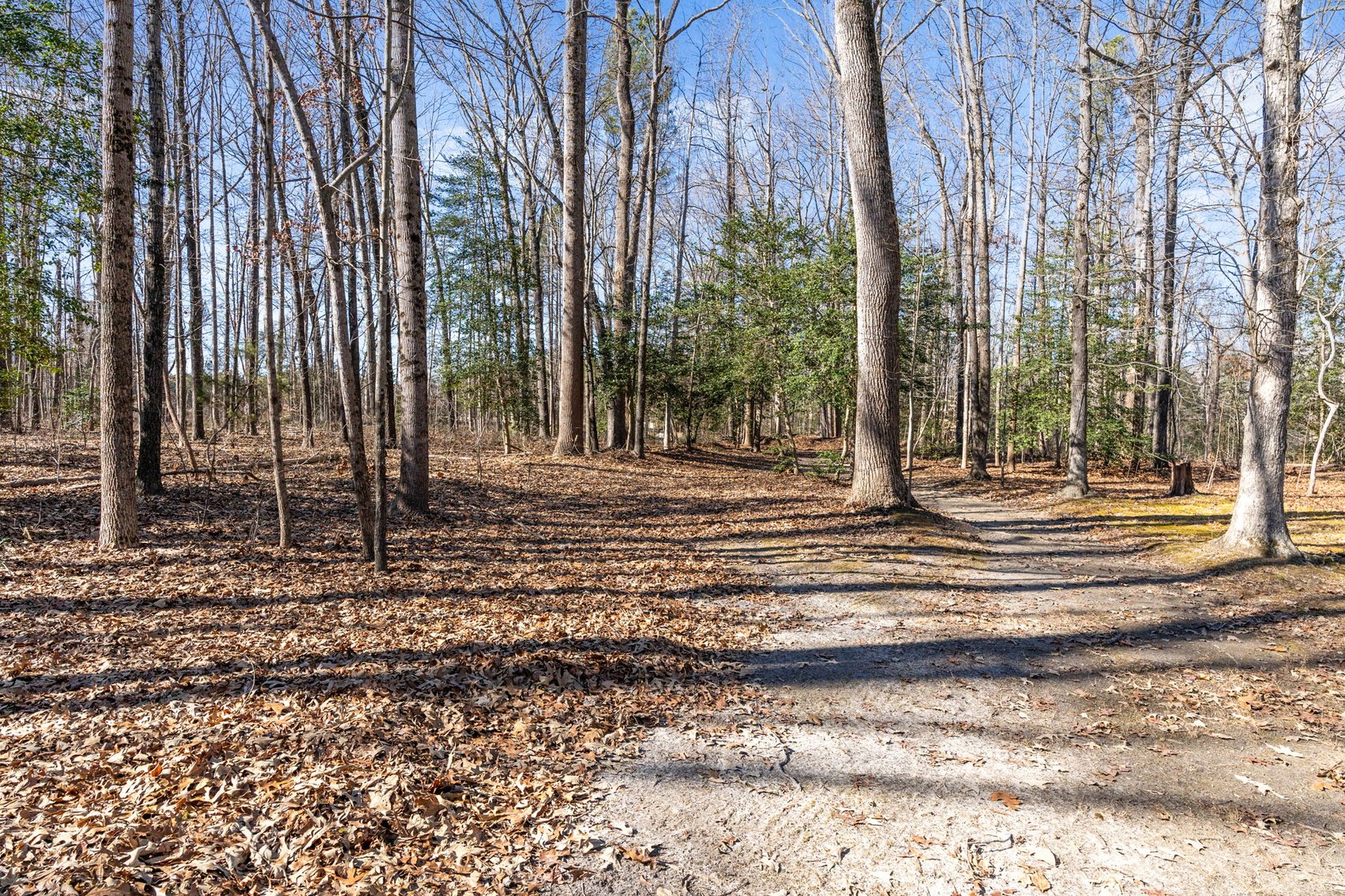 Image for Historic Pine Slash Estate - 10-Acre Colonial with Lake Frontage & Civil War Features - Former Patrick Henry Land!