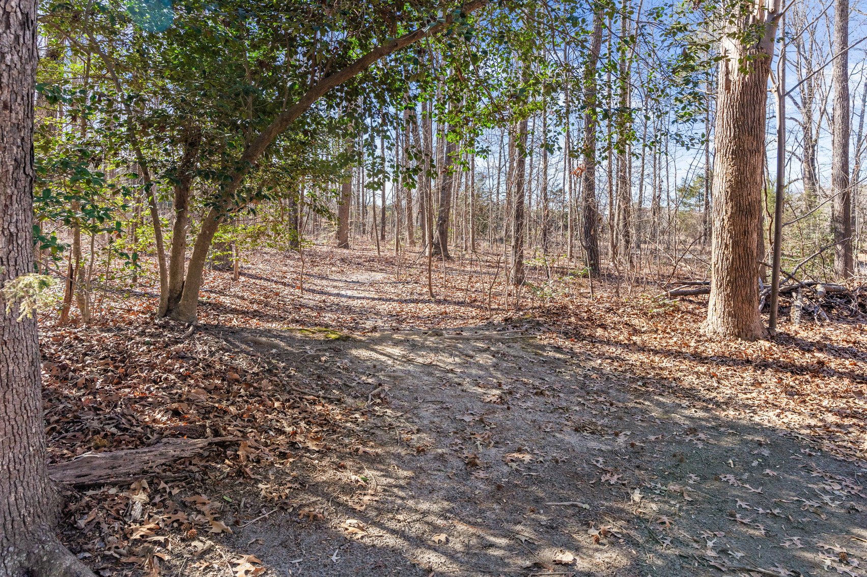 Image for Historic Pine Slash Estate - 10-Acre Colonial with Lake Frontage & Civil War Features - Former Patrick Henry Land!