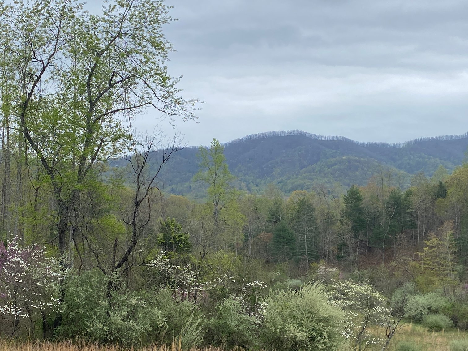 Image for BREATHTAKING MOUNTAIN VIEWS: Blue Ridge Estate Auction - 158-Acre Farm & Building Lot - Amherst, VA