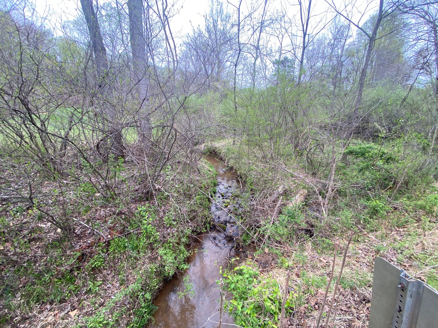 Image for BREATHTAKING MOUNTAIN VIEWS: Blue Ridge Estate Auction - 158-Acre Farm & Building Lot - Amherst, VA