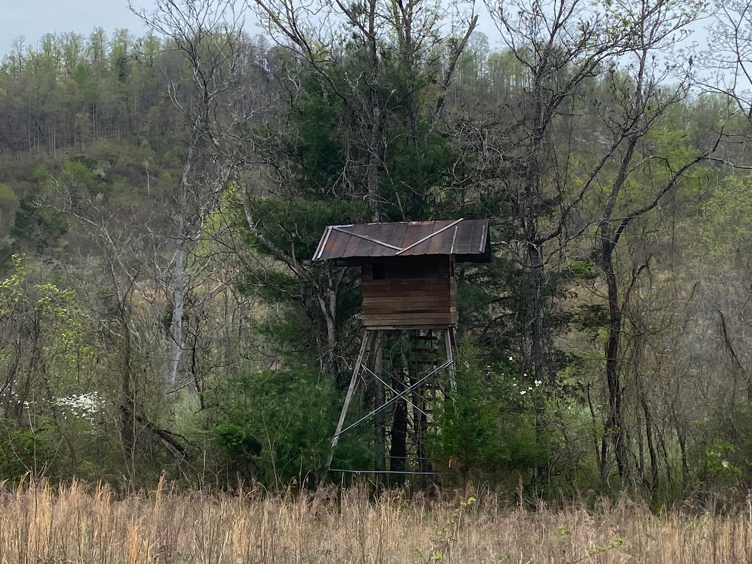 Image for BREATHTAKING MOUNTAIN VIEWS: Blue Ridge Estate Auction - 158-Acre Farm & Building Lot - Amherst, VA