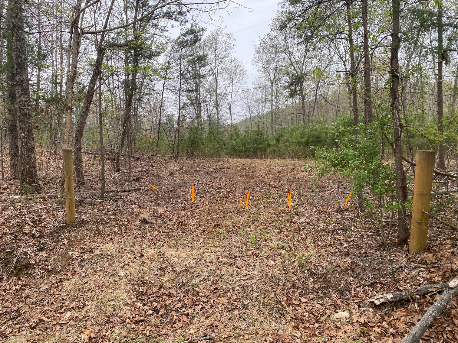 Image for BREATHTAKING MOUNTAIN VIEWS: Blue Ridge Estate Auction - 158-Acre Farm & Building Lot - Amherst, VA