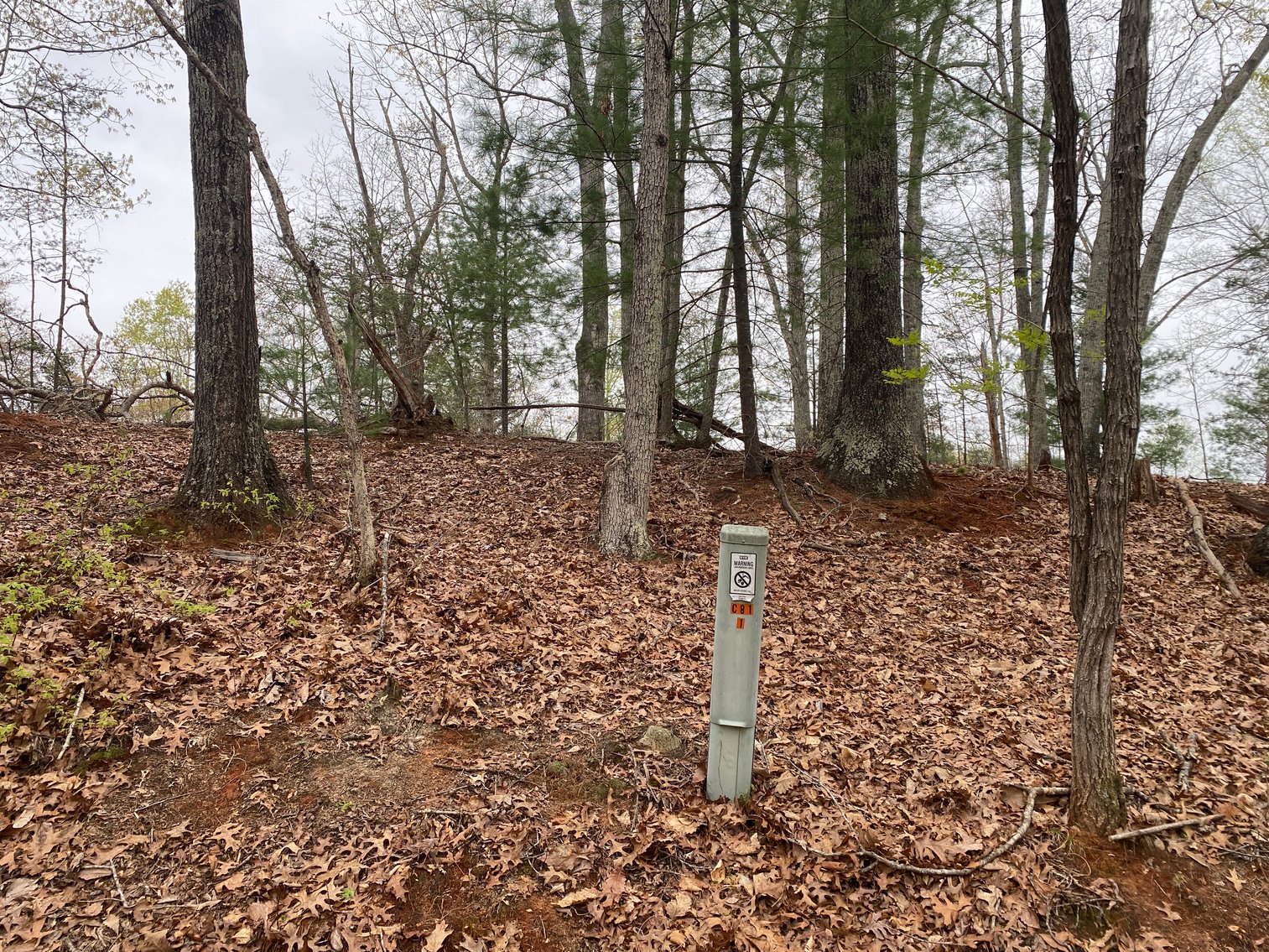 Image for BREATHTAKING MOUNTAIN VIEWS: Blue Ridge Estate Auction - 158-Acre Farm & Building Lot - Amherst, VA