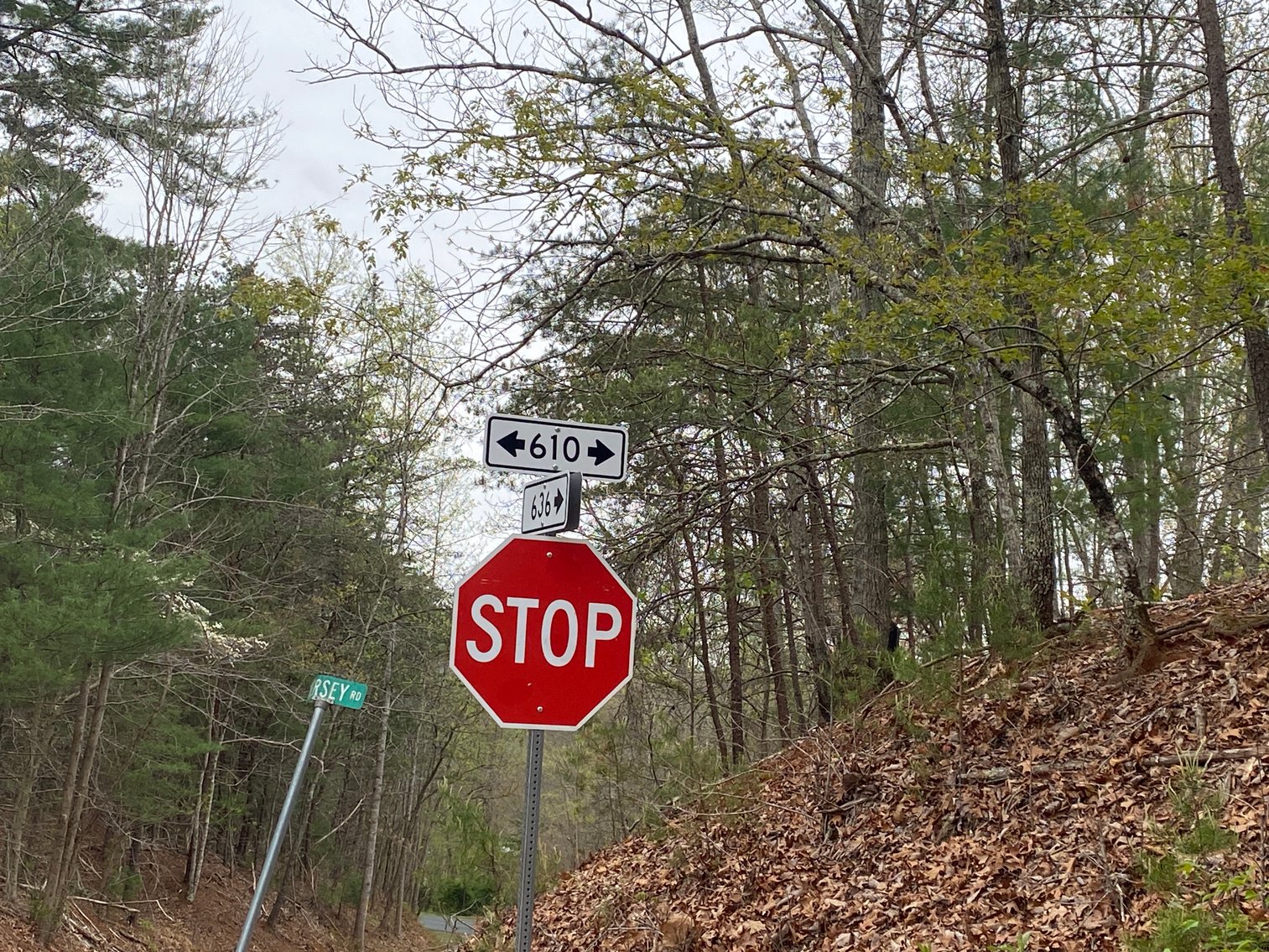 Image for BREATHTAKING MOUNTAIN VIEWS: Blue Ridge Estate Auction - 158-Acre Farm & Building Lot - Amherst, VA