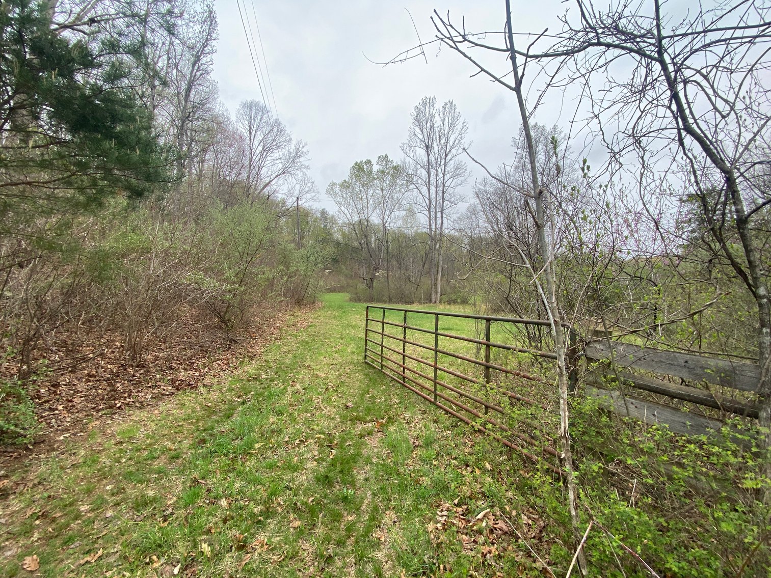 Image for BREATHTAKING MOUNTAIN VIEWS: Blue Ridge Estate Auction - 158-Acre Farm & Building Lot - Amherst, VA