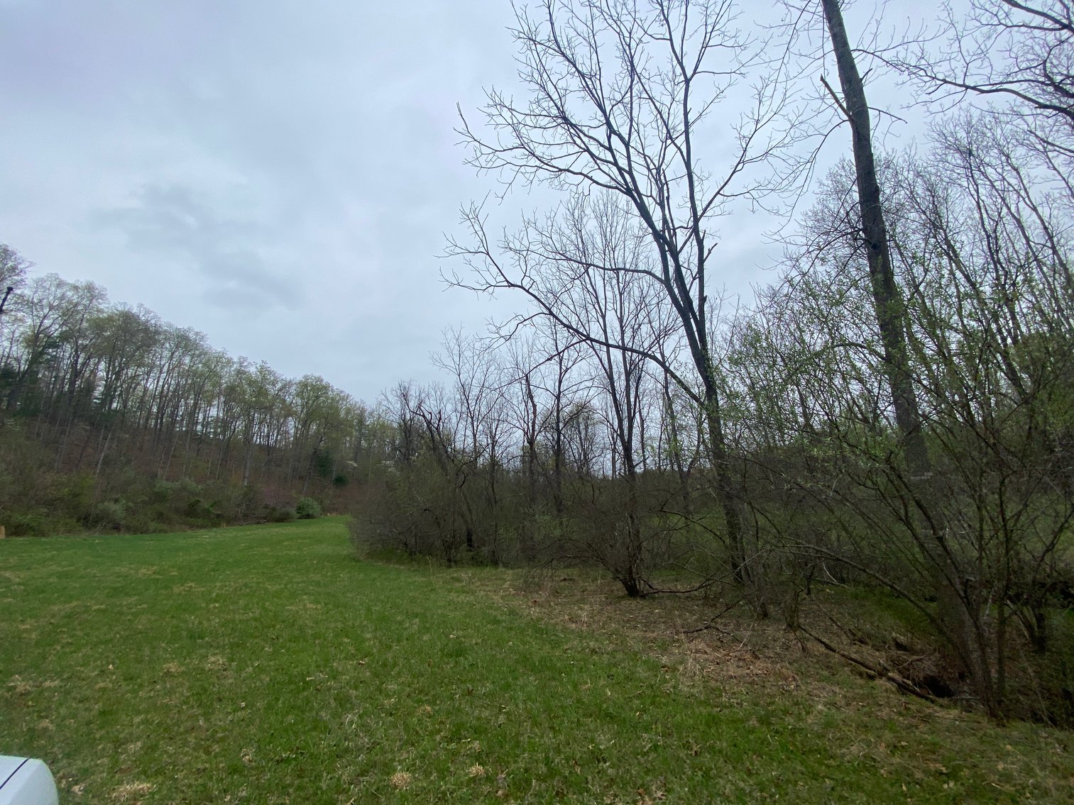 Image for BREATHTAKING MOUNTAIN VIEWS: Blue Ridge Estate Auction - 158-Acre Farm & Building Lot - Amherst, VA