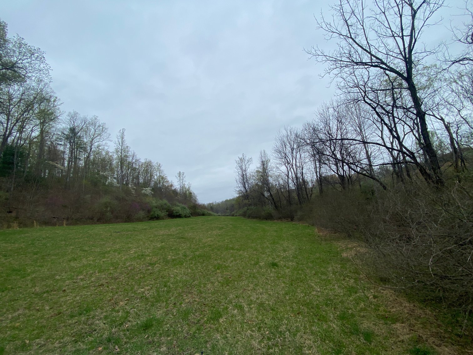 Image for BREATHTAKING MOUNTAIN VIEWS: Blue Ridge Estate Auction - 158-Acre Farm & Building Lot - Amherst, VA