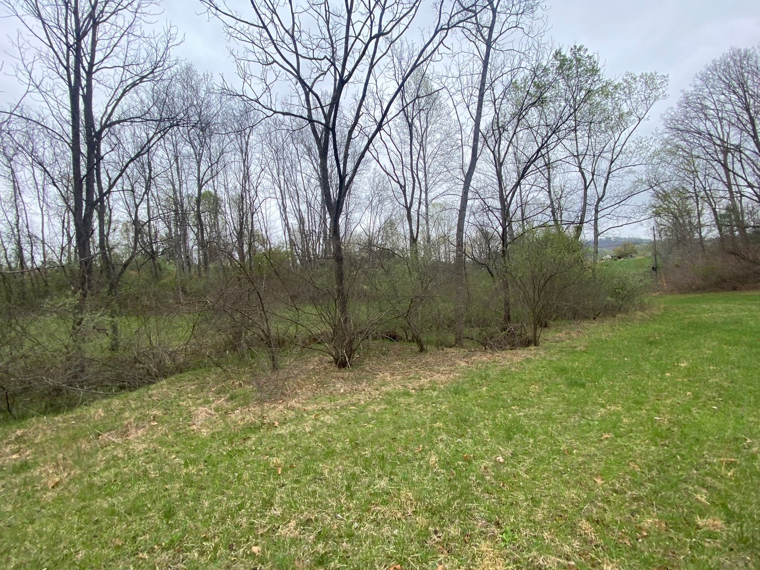 Image for BREATHTAKING MOUNTAIN VIEWS: Blue Ridge Estate Auction - 158-Acre Farm & Building Lot - Amherst, VA