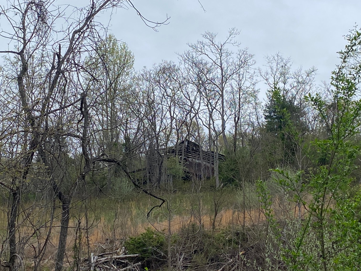 Image for BREATHTAKING MOUNTAIN VIEWS: Blue Ridge Estate Auction - 158-Acre Farm & Building Lot - Amherst, VA