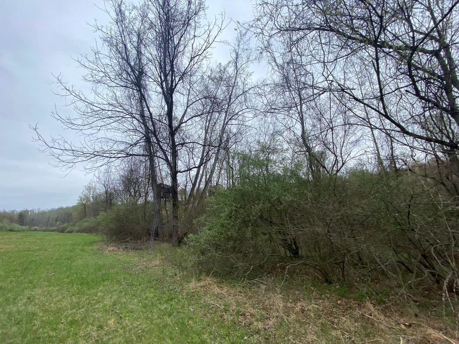 Image for BREATHTAKING MOUNTAIN VIEWS: Blue Ridge Estate Auction - 158-Acre Farm & Building Lot - Amherst, VA