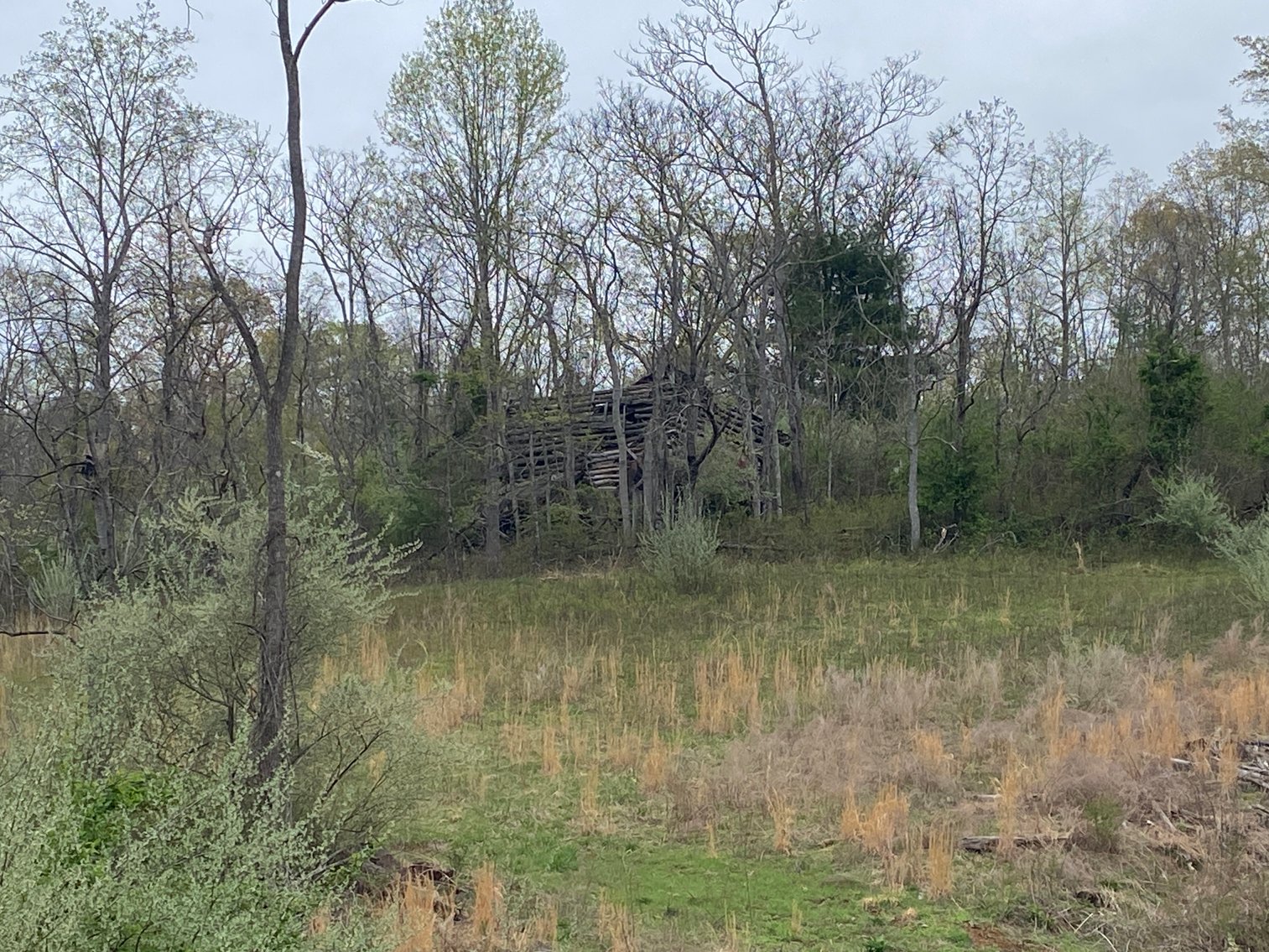 Image for BREATHTAKING MOUNTAIN VIEWS: Blue Ridge Estate Auction - 158-Acre Farm & Building Lot - Amherst, VA