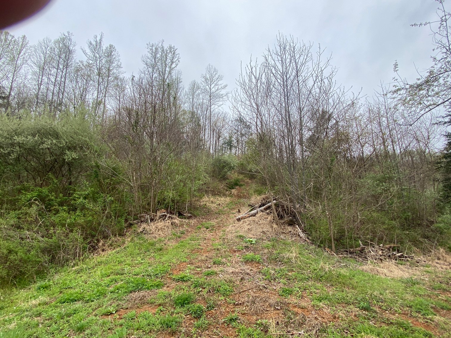 Image for BREATHTAKING MOUNTAIN VIEWS: Blue Ridge Estate Auction - 158-Acre Farm & Building Lot - Amherst, VA